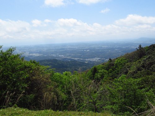 登山道